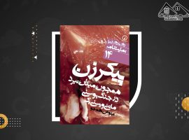 دانلود PDFکتاب پیکرزن همچون میدان نبرد در جنگ بوسنی ماتئی وینسی یک (۶۱ صفحه📓)