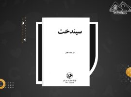 دانلود PDF کتاب سیندخت علی محمد افغانی (۳۰۸ صفحه📓)